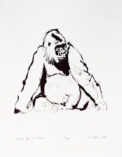 Seated Gorilla #108